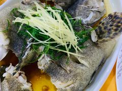 -蚝专家(北滘店)