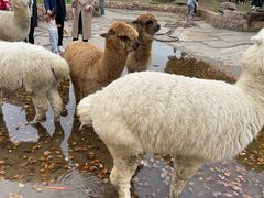 -刀庖厨家乡菜小海鲜(友谊·嘉御龙庭店)