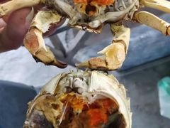 -会江钓鱼钓虾烧烤场