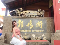 -马六甲鸡场街