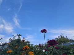 -蘭亭花園(兰州中心店)