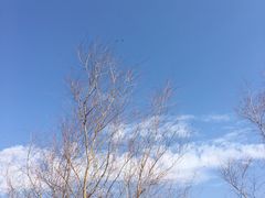 -罗田薄刀峰风景区