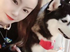 -Husky Go! 哈士奇体验馆·宠物咖啡厅狗咖
