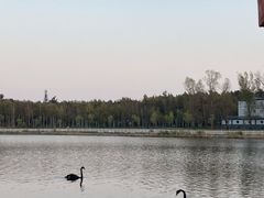 景点-长春市南湖公园