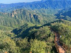 -大岭沟猕猴桃谷风景区