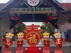 -上海海湾国家森林公园