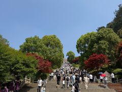 -庐山风景名胜区-东林大佛