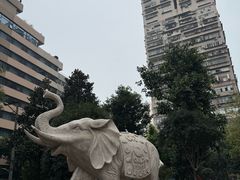 -白象居