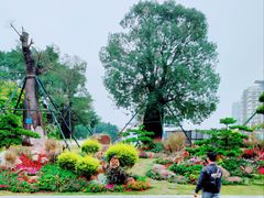 -南宁南湖公园