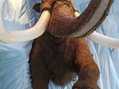 -曼谷杜莎夫人蜡像馆