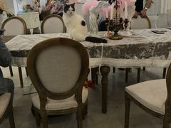 -共舞时光猫咖·狗咖(新街口店)