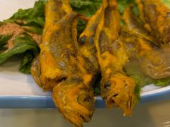 -西域美食兰州老马拉面(顺沙路辅路店)