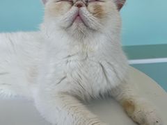-怪兽屋·羊驼·猫咖·狗咖(俊华广场店)