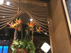 -云海肴·汽锅鸡·云南菜(天津国金汇店)