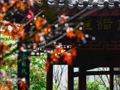 -龙头寺公园