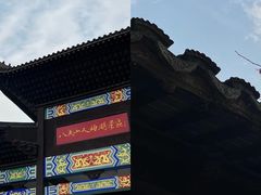 -八大山人梅湖景区