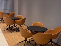 -上海西上海安达上汽大众斯柯达4S店(安亭店)