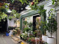 -溪岸路花鸟市场