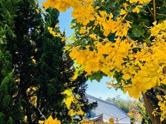 -崇圣寺三塔文化旅游区