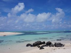 -塞尔夫岛
