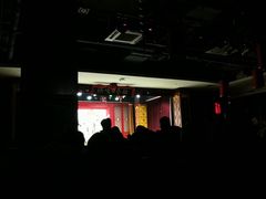 -洪顺曲艺社(石家庄店)