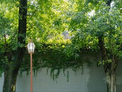 -四川大学(望江校区)