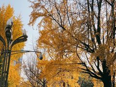 -四川大学(华西校区)