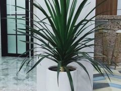 -红星美凯龙国际家居博览中心至尊mall停车场