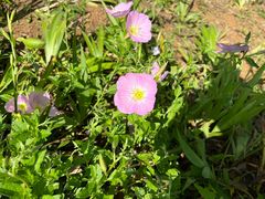 -贵阳市花溪国家城市湿地公园
