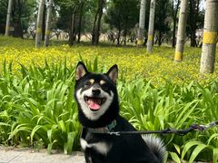 -老君堂公园