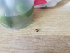 -书亦烧仙草(长沙医学院店)