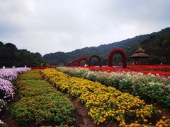 -广州市石门国家森林公园