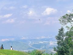 -黄埔油麻山森林公园