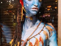 -奥兰多迪士尼动物王国乐园