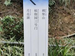 -南山植物园