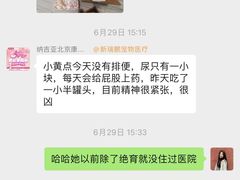 -纳吉亚猫专科动物医院(康都外科中心)