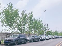 -上海浦江郊野公园-4号停车场