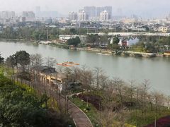 -光明港公园