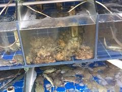 -香满居张记小厨私房菜(青岛站店)