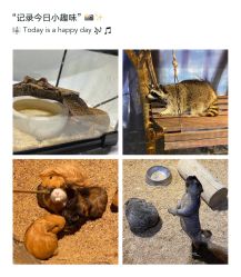 -酷嗒动物文化乐园(cutezoo西溪乐天城店)