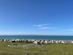 -青海湖国家重点风景名胜区