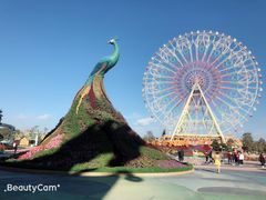 -七彩云南欢乐世界