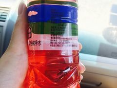 -柘林湖生态鱼馆