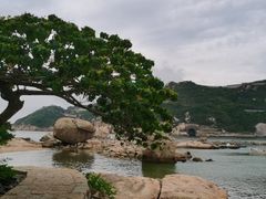 -东澳岛