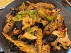 -老雒阳面馆·水席·洛阳菜(偃师店)