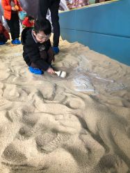 -恐龙探索乐园(磁器口店)