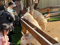 -HERRE·FARM 赫尔露营农场·团建聚会包场