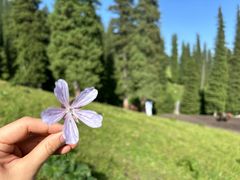 -新疆那拉提国家旅游度假区