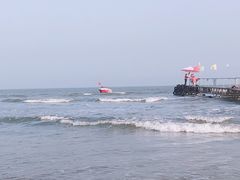 -日照海滨国家森林公园