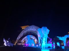 -清迈夜间动物园